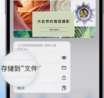 青冈apple维修中心分享iPhone文件应用中存储和找到下载文件