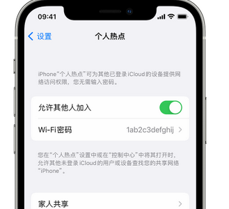 青冈apple服务站点分享iPhone上个人热点丢失了怎么办 