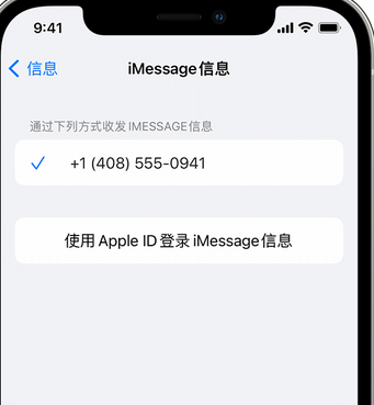 青冈apple维修iPhone上无法正常发送iMessage信息 