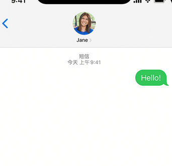 青冈apple维修iPhone上无法正常发送iMessage信息