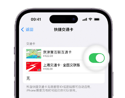 青冈apple维修点分享iPhone上更换Apple Pay快捷交通卡手绘卡面 