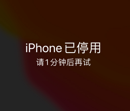 青冈苹果手机维修分享:iPhone 显示“不可用”或“已停用”怎么办？还能保留数据吗？ 