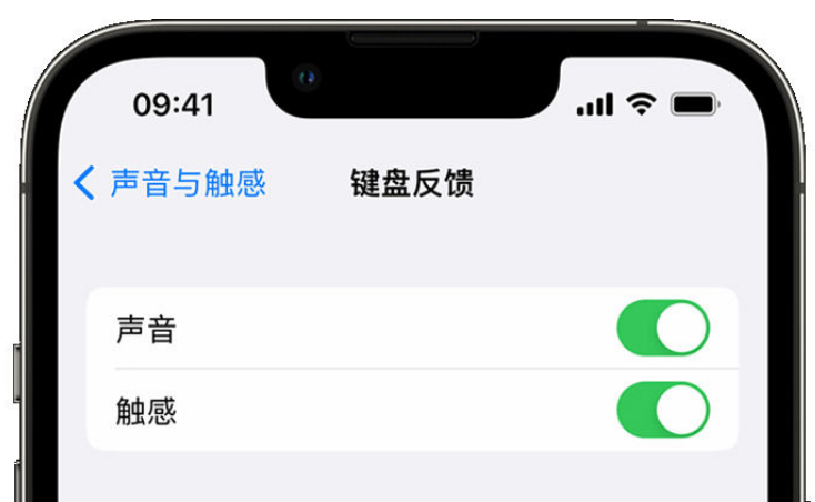 青冈苹果手机维修分享iPhone 14触感键盘使用方法 