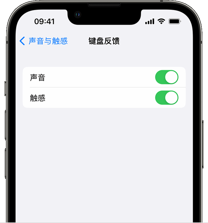 青冈苹果14维修店分享如何在 iPhone 14 机型中使用触感键盘 