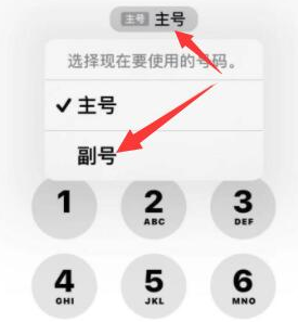 青冈苹果14维修店分享iPhone 14 Pro Max使用副卡打电话的方法 